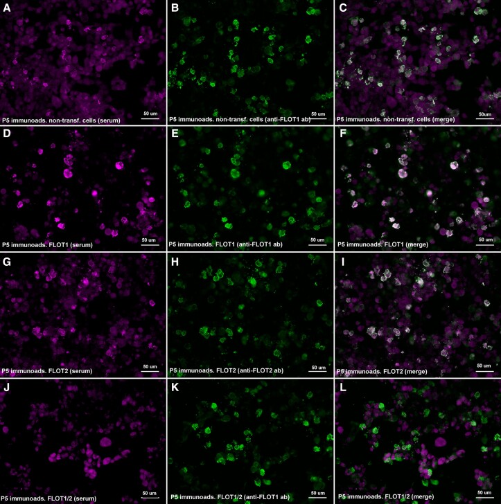 Figure 4