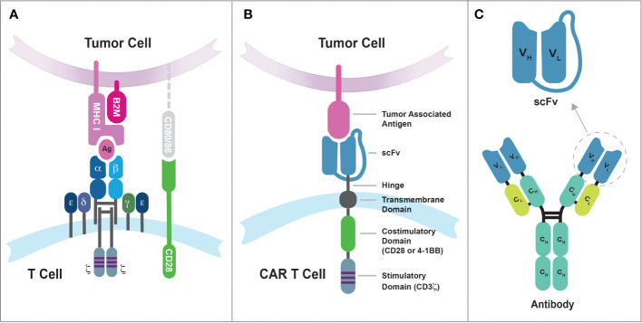 Figure 1