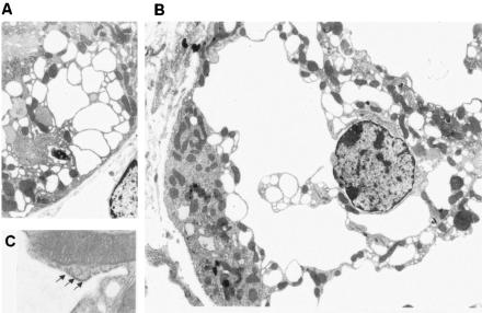 FIG. 11.