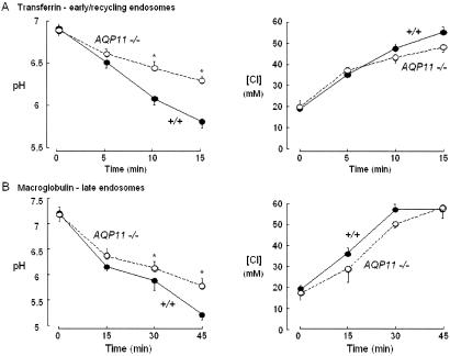 FIG. 13.