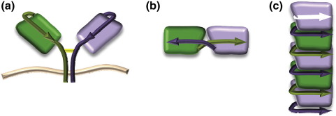 Fig. 3