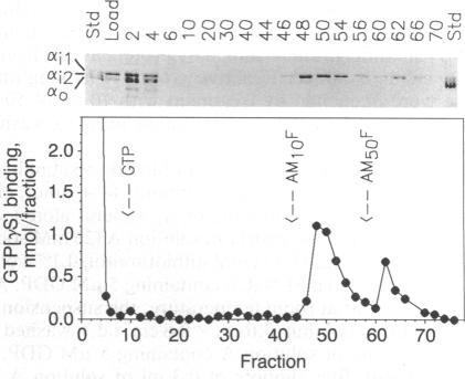 graphic file with name pnas00287-0164-a.jpg