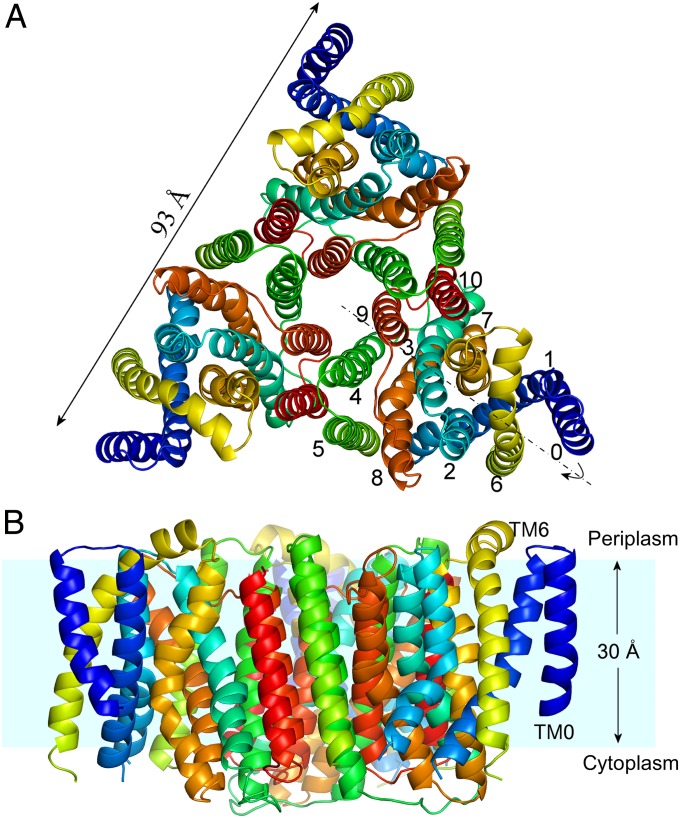 Fig. 1.