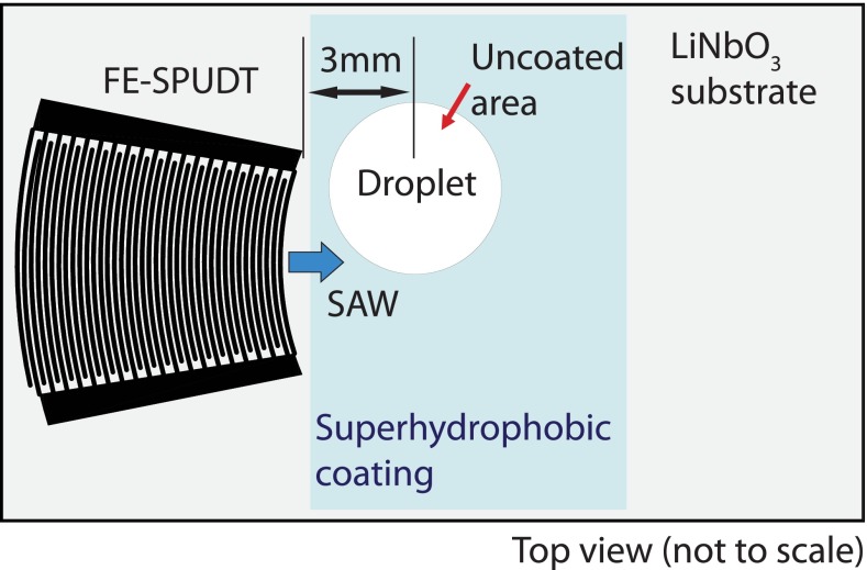 FIG. 1.