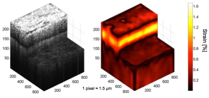 Fig. 11