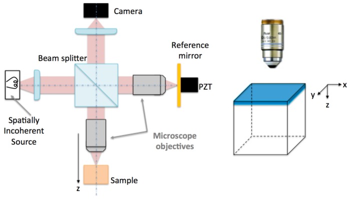 Fig. 3