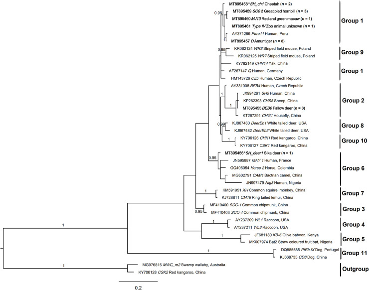 FIGURE 2