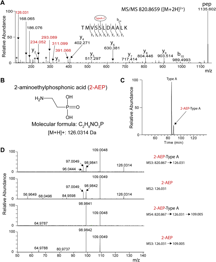 Figure 4