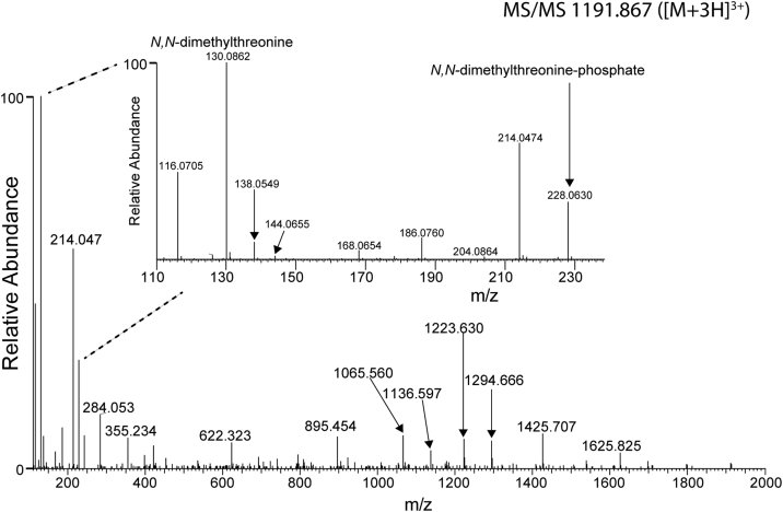 Figure 3