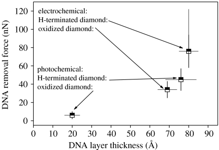 Figure 33