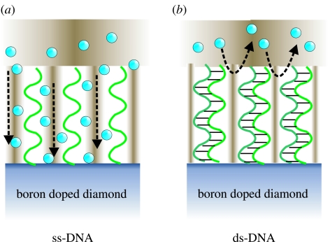 Figure 38