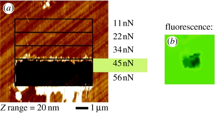 Figure 17