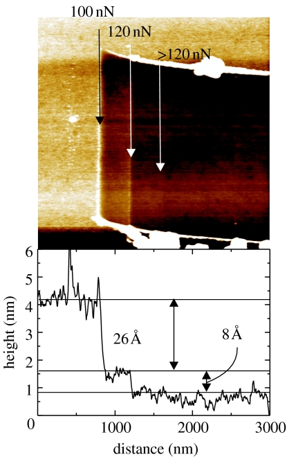 Figure 28