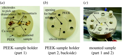 Figure 12