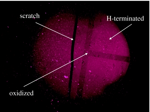 Figure 32