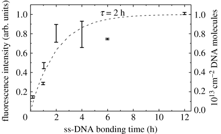 Figure 23