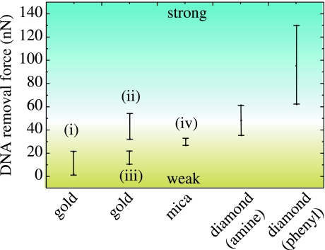 Figure 34