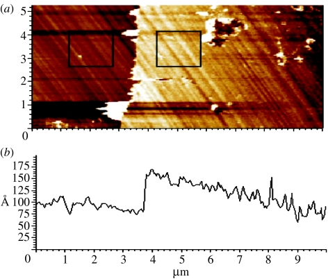 Figure 19