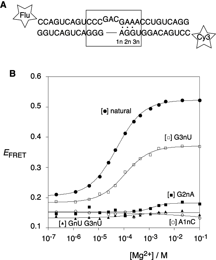 Figure 2