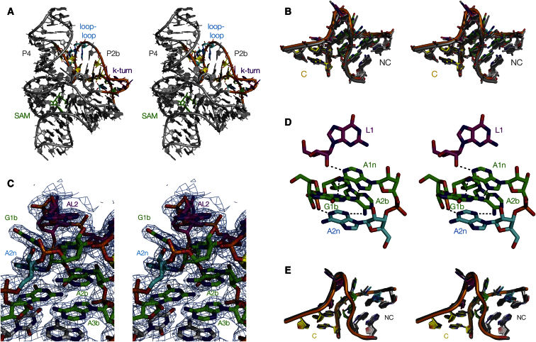 Figure 4