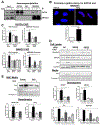 Figure 5: