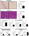 Figure 6: