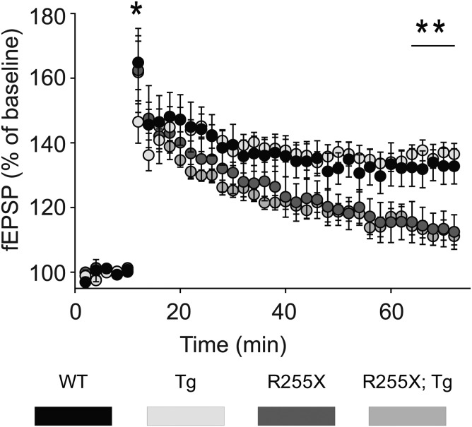 Figure 4.