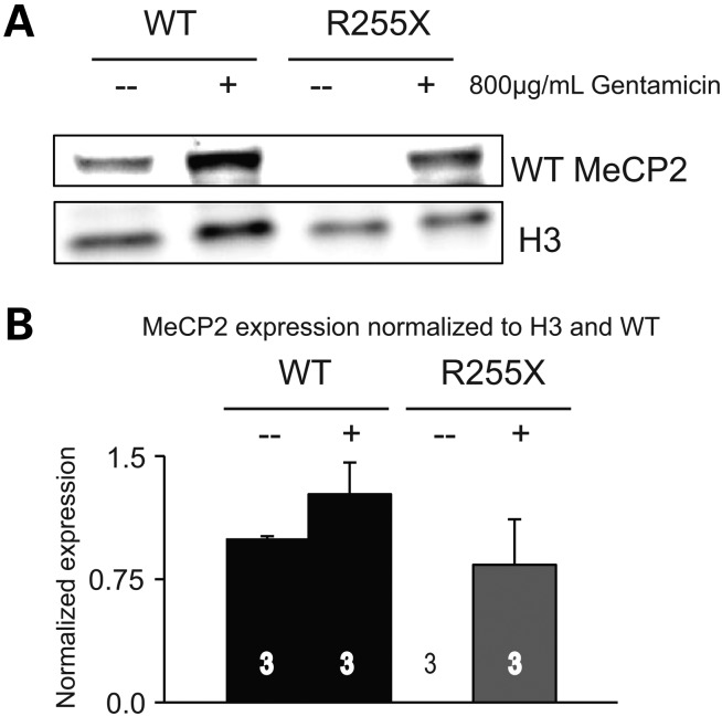 Figure 6.