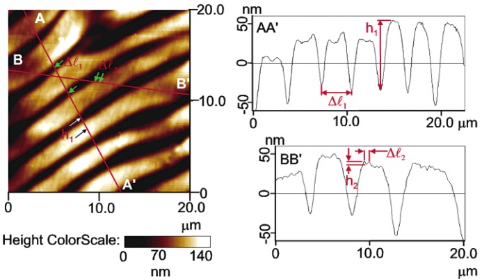 Figure 19