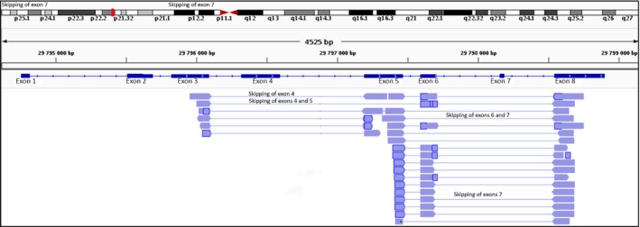 Figure 7