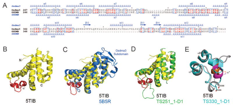 Figure 5