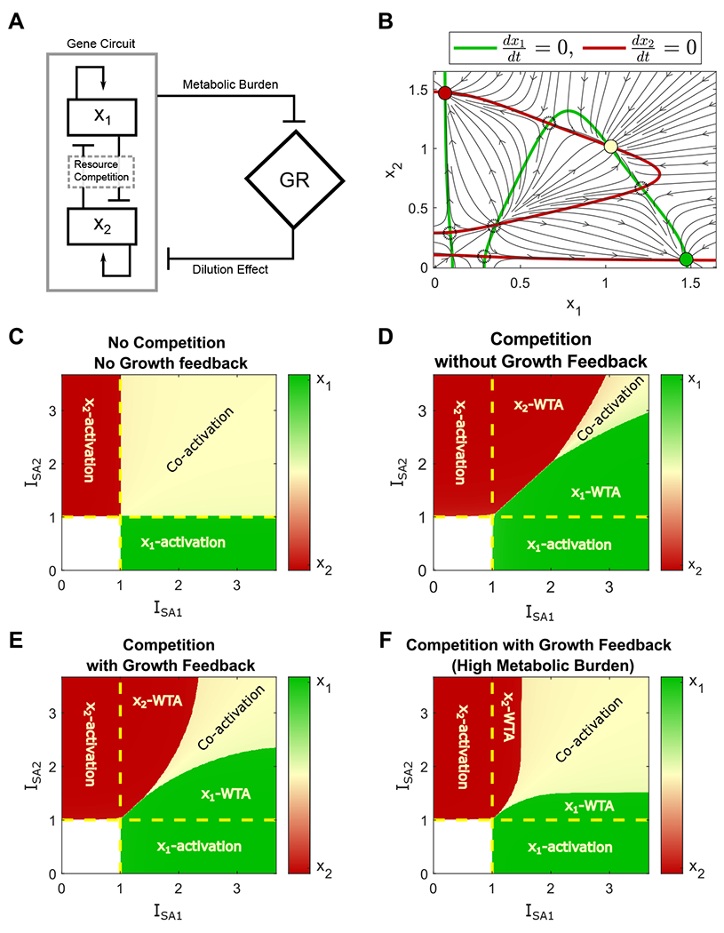 Figure 5: