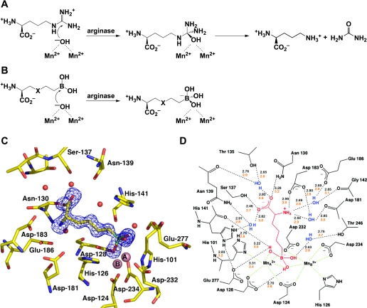 Fig. 2.