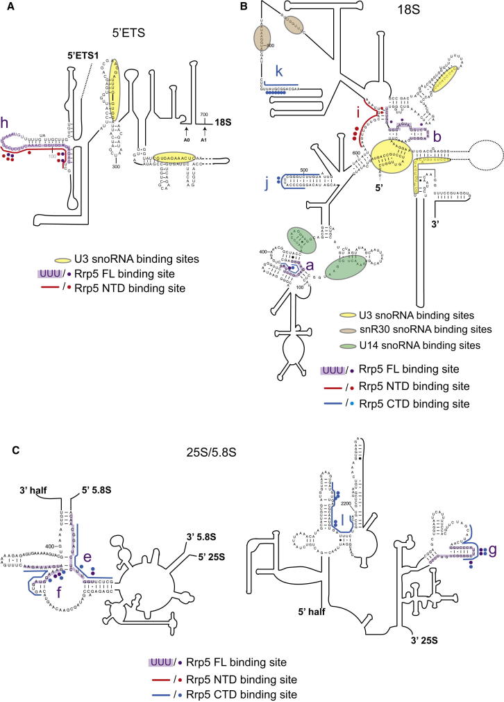 Figure 4