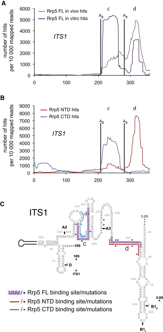 Figure 3