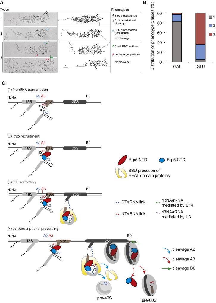 Figure 6