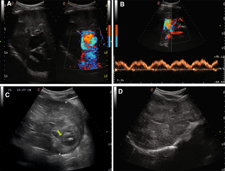 Fig. 3