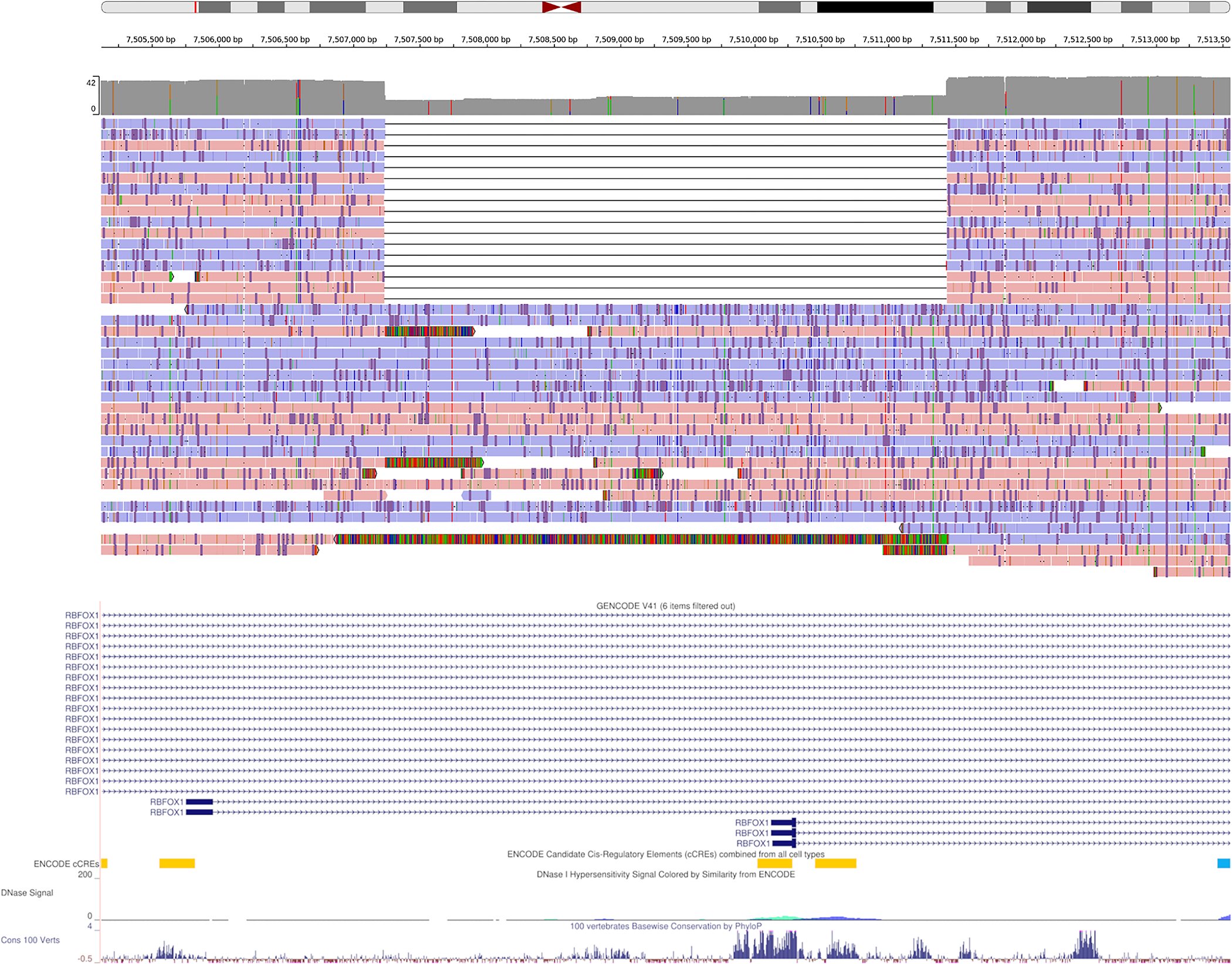 Extended Data Fig. 8