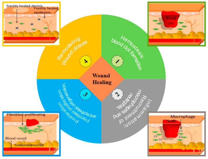 Figure 10