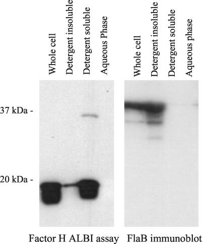 FIG. 5.