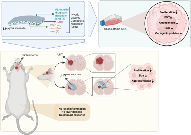 Image, graphical abstract