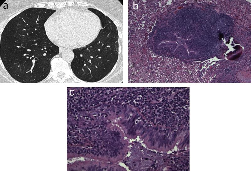 Fig. 10