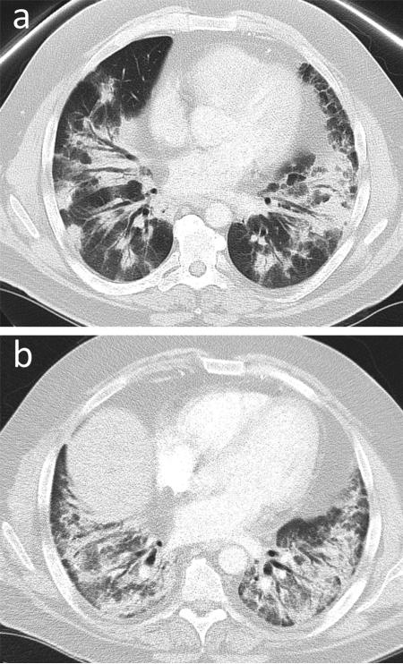 Fig. 8