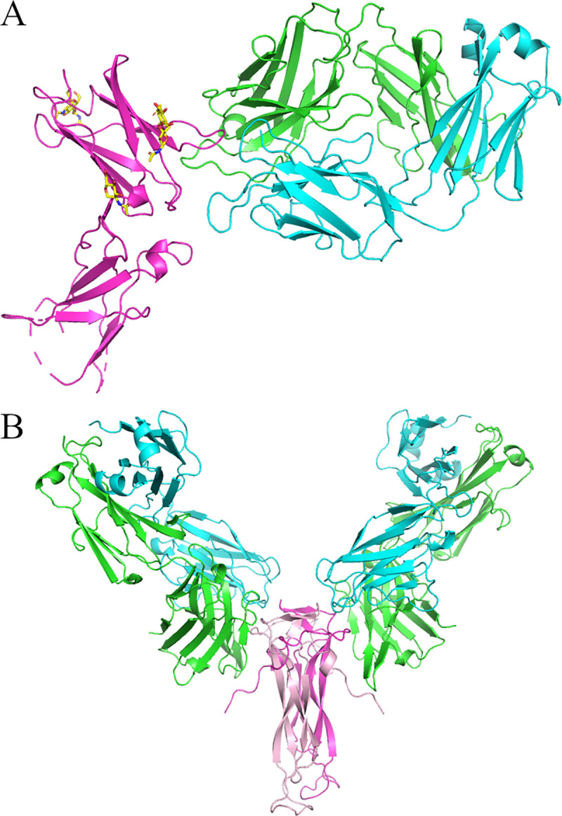 Fig 5