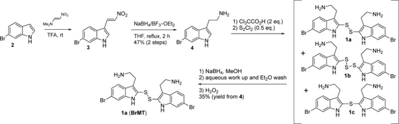 Scheme 1