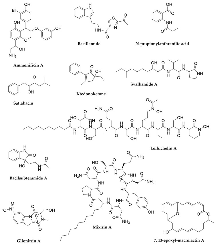 Figure 20