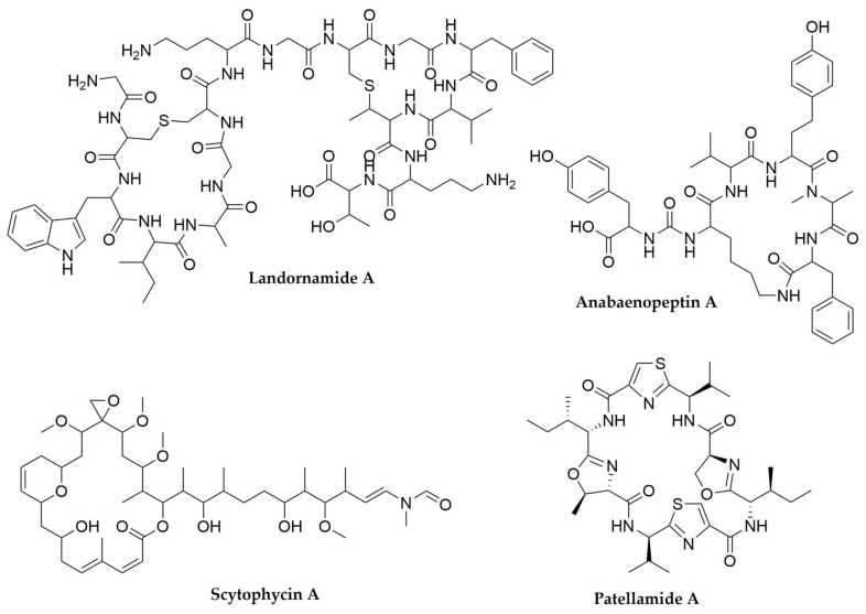 Figure 12