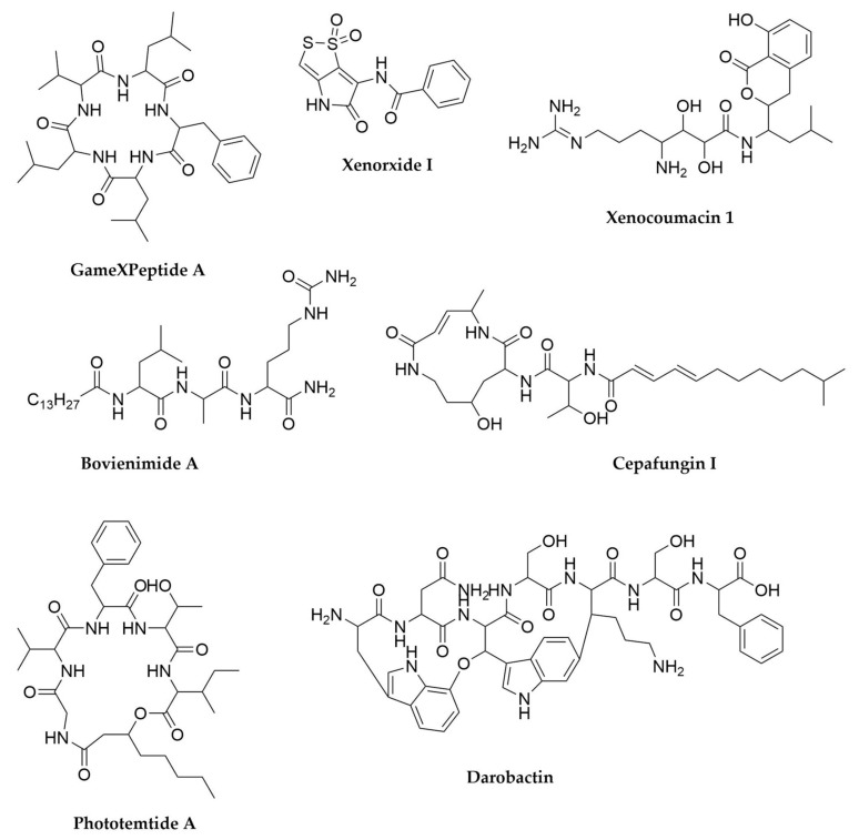 Figure 6