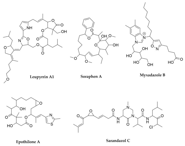 Figure 10