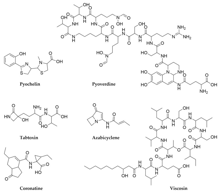 Figure 14